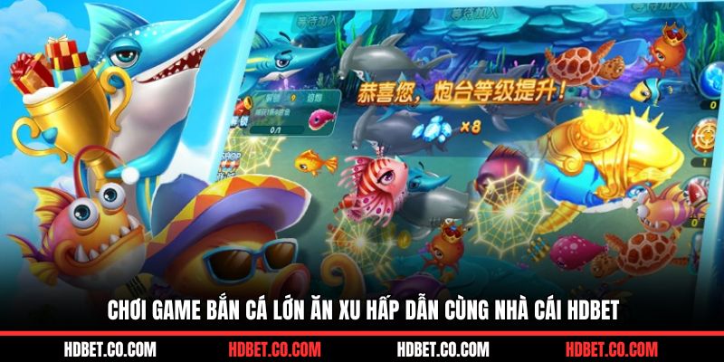 Chơi game bắn cá lớn ăn xu hấp dẫn cùng nhà cái HDBET