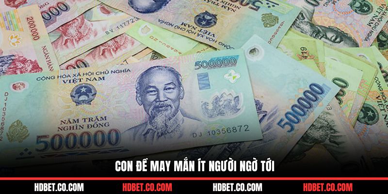 Con đề may mắn ít người ngờ tới khi nằm mơ thấy tiền