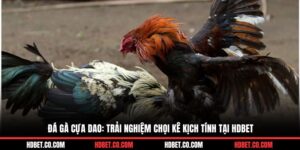 đá gà cựa dao