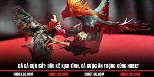 đá gà cựa sắt