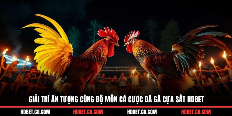 Giải trí ấn tượng cùng bộ môn cá cược đá gà cựa sắt HDBET