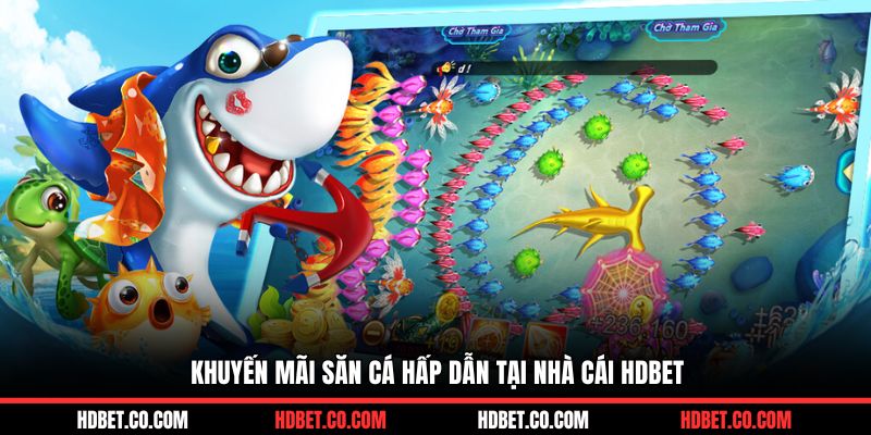 Khuyến mãi săn cá hấp dẫn tại nhà cái HDBET