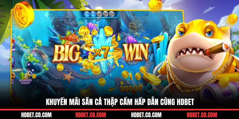 Khuyến mãi săn cá thập cẩm hấp dẫn cùng HDBET
