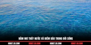 Nằm mơ thấy nước