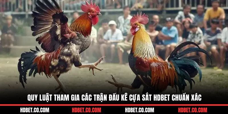 Quy luật tham gia các trận đấu kê cựa sắt HDBET chuẩn xác