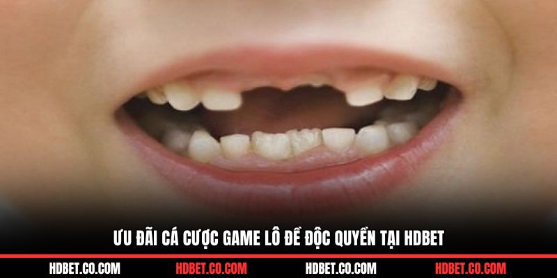 Ưu đãi cá cược game lô đề độc quyền tại HDBET